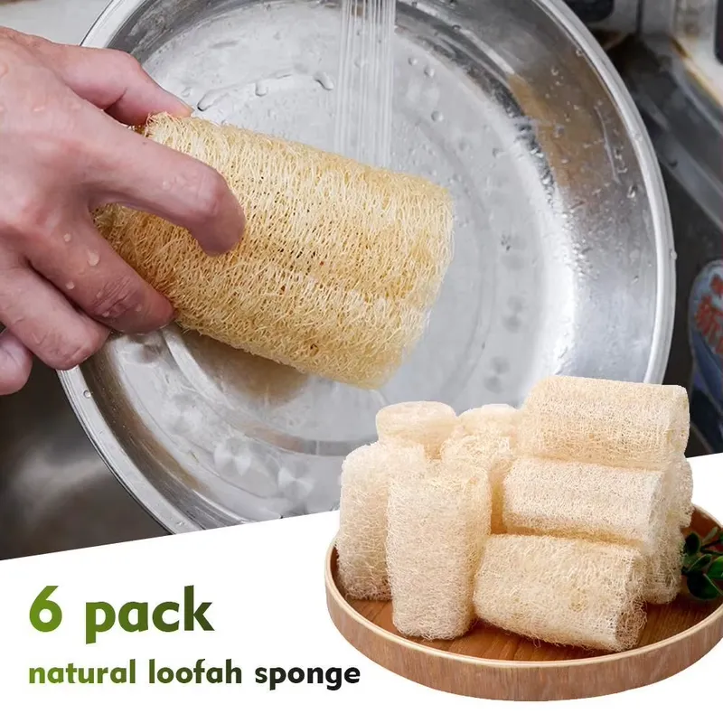 2026 Latest Natural Loofah Luf - огляд і ціна Eco Sponge